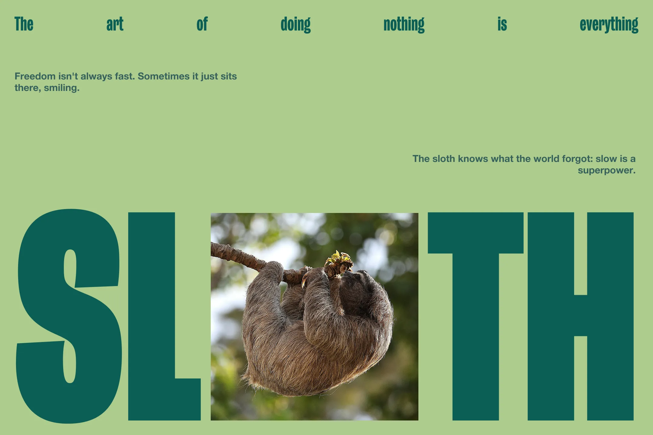 visual feed image